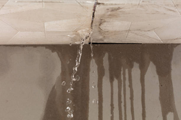 Professional Water Damage Restoration technician working in New Home, TX